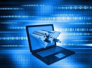 窺國內IT生態體系 一花一世界，互聯網信息服務的無限可能